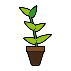 plant in pot icon image vector illustration design 