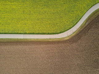 Aerial view of agricultural fields with curvy road