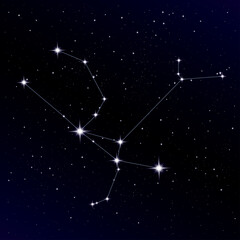 Andromeda constellation © angelinast