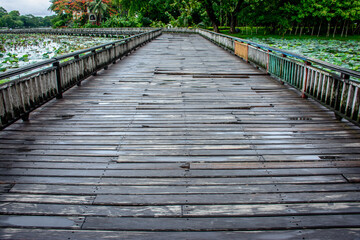 Fototapeta premium landscape photo of wooden bridge in the lake