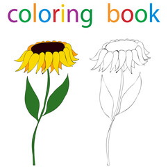 book coloring flower sunflower