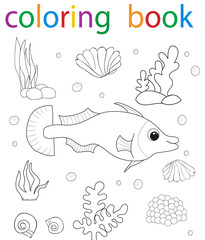 book coloring sea fish