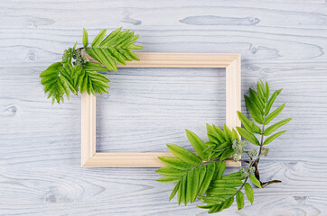 Blank wood frame and young green leaves on light blue wooden board. Decorative spring background with copy space, top view.
