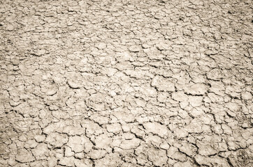 Dried and Cracked ground