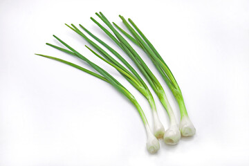 Green Spring Onion on White Background