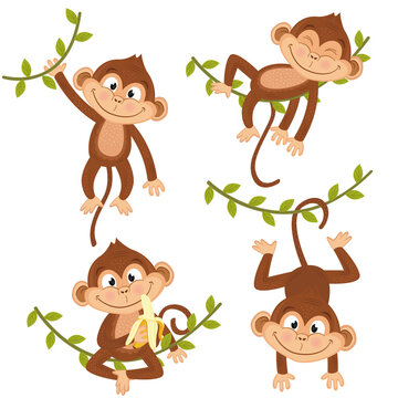 set of isolated monkey hanging on vine - vector illustration, eps