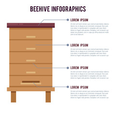 Vector flat infographics with beehive. Modern template illustration