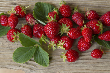 Fraises