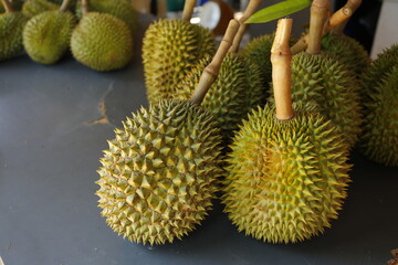 Durian./Durian season in Thailand.