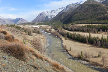 The stormy mountain river from melting snow flowing of the Altai Mountains, Russia
