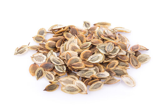 dill seed on a white background