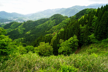 Lush greenery mountain panorama, roadway and town view from afar, Takachiho, Japan