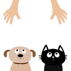 Helping hand. Dog Cat Pet adoption. Puppy pooch kitty cat looking up to human hands. Flat design. Help homeless animal concept. White background. Isolated.