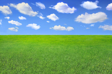 Fototapeta Summer landscape of grass. Background for visualization design project. obraz