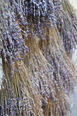 Lavendel, getrocknet