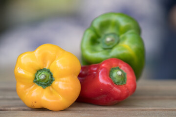 Colorful peppers: red, green, yellow