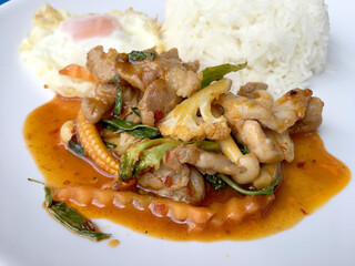 Stir Fried chicken with Roasted Chili Paste with rice and fired egg in white plate.