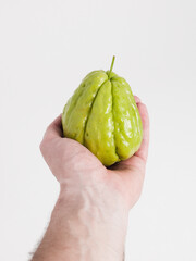 Chayote being held by a hand