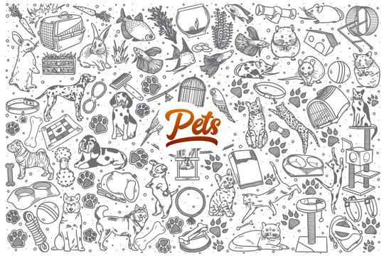 Hand drawn Pets doodle set background with red lettering in vector