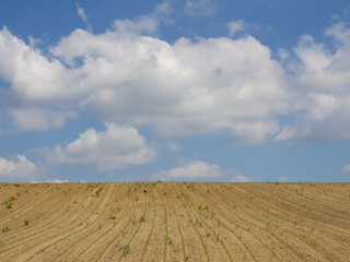 Acker unter blauem Himmel