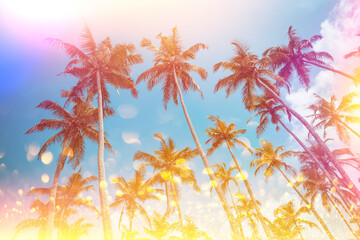 Fototapeta na wymiar Vintage stylized tropical palms with light leaks and golden glitter