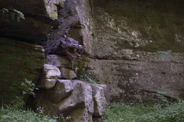 Drache im Edmundsklamm bei Hřensko Böhmische Schweiz