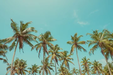Tissu par mètre Palmier Palmiers sur la plage avec un ciel clair aux tons vintage