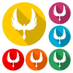 Phoenix design - Illustration