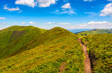 path through the mountain ridge in summer