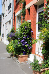 Fototapeta premium Paris - La Cité Florale
