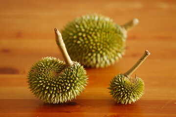 Durian./Durian season in Thailand.