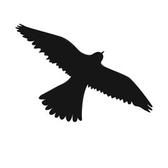 Eagle icon black color on white background.