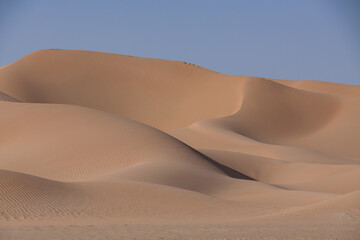 Fototapeta na wymiar unberührte Sanddünen im Oman