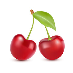 Cherry isolated on white. Sweet fruit. Realistic vector illustration