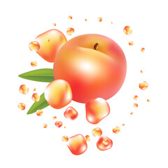 Fresh peach fruit vector. Realictyc image.