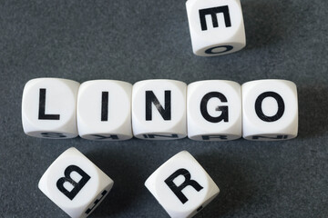 word lingo on toy cubes