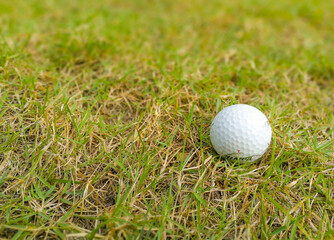 Golf Ball in Grass on Natural background