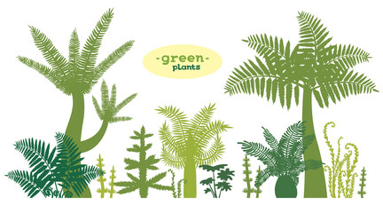 Set of green plants.