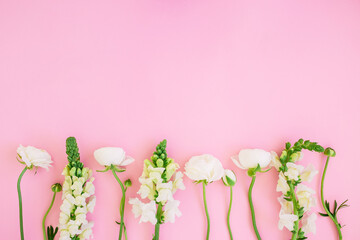 Frame of white flowers on pink background. Flat lay, top view. Floral background.