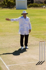 Full length of cricket umpire signalling no ball during match