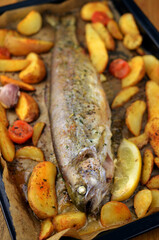 Roasted trout with potatoes in herbs