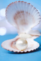 pearls on the blue background
