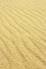 Fototapeta na wymiar Sand Texture./ Sand Texture. 