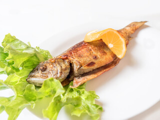 Grilled trout with orange lemon, salad leaves on white plate
