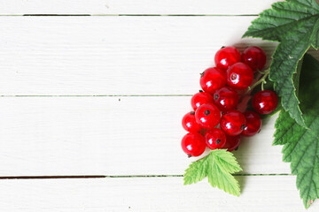 Naklejka na ściany i meble red currant berry background
