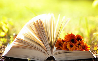 opened book in yellow autumn