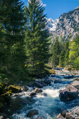 Fototapeta na wymiar Val di Mello - Valmasino (IT) - Paesaggio alpino con torrente 