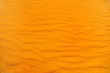 Texture of sand dune in desert