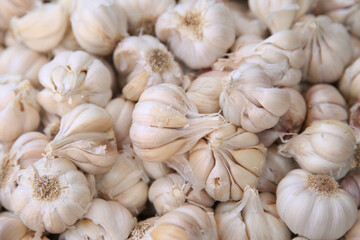 piles of Garlic