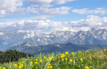 Fototapeta na wymiar Malerische Berggipfel mit Blumenwiese im Vordergrund